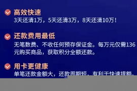 大冶为什么选择专业追讨公司来处理您的债务纠纷？